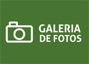 Galeria de Fotos